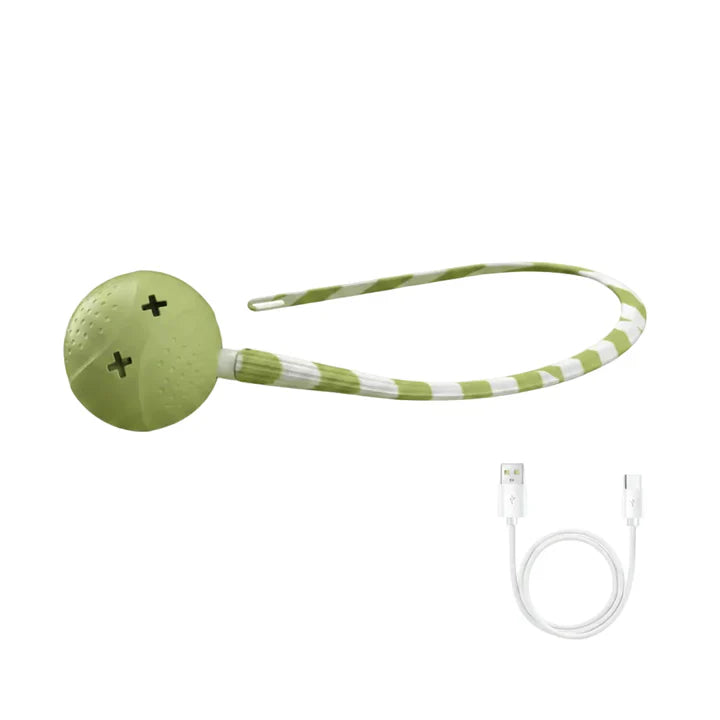 Interactive Cat Toy Teaser Tail LED Light USB Rechargeable Rolling Ball for Indoor Cats