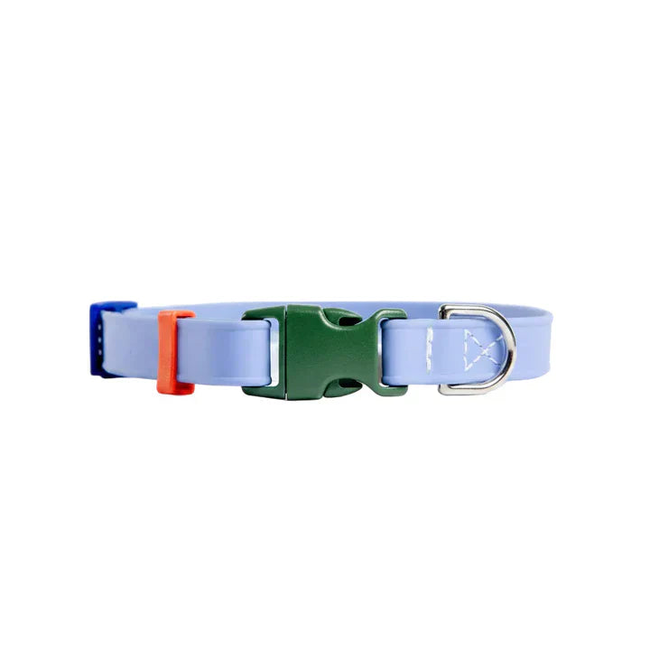 Collars and Harness